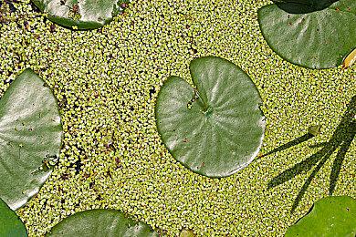 《量子破碎》主演加盟《心灵杀手2》扮演另一角色